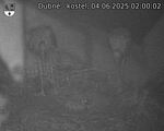 Capi_Dubne_20250604_020002.jpg