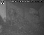 Capi_Dubne_20250604_020502.jpg