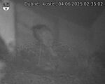 Capi_Dubne_20250604_023502.jpg