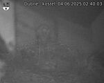 Capi_Dubne_20250604_024003.jpg