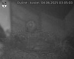 Capi_Dubne_20250604_030503.jpg