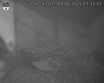 Capi_Dubne_20250604_031502.jpg