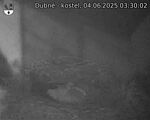 Capi_Dubne_20250604_033002.jpg
