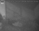 Capi_Dubne_20250604_035502.jpg