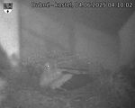 Capi_Dubne_20250604_041002.jpg