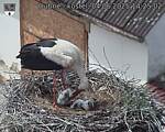 Capi_Dubne_20250604_142502.jpg