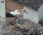 Capi_Dubne_20250604_152004.jpg
