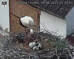 Capi_Dubne_20250604_153003.jpg