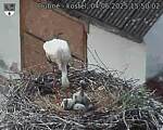 Capi_Dubne_20250604_155002.jpg