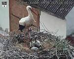 Capi_Dubne_20250604_160002.jpg
