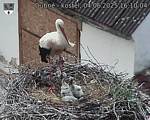 Capi_Dubne_20250604_161004.jpg