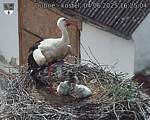 Capi_Dubne_20250604_162504.jpg