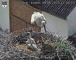 Capi_Dubne_20250604_170003.jpg