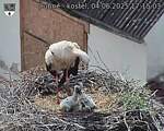 Capi_Dubne_20250604_171503.jpg