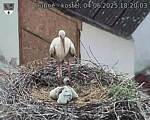 Capi_Dubne_20250604_182003.jpg