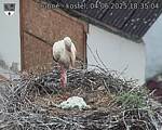 Capi_Dubne_20250604_183504.jpg