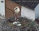 Capi_Dubne_20250604_190004.jpg