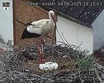 Capi_Dubne_20250604_191503.jpg