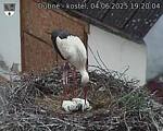 Capi_Dubne_20250604_192004.jpg