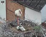 Capi_Dubne_20250604_193502.jpg