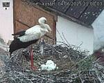 Capi_Dubne_20250604_210003.jpg