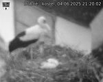 Capi_Dubne_20250604_212002.jpg