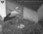 Capi_Dubne_20250604_212503.jpg