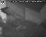 Capi_Dubne_20250604_213502.jpg