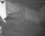 Capi_Dubne_20250604_215503.jpg