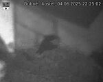 Capi_Dubne_20250604_222502.jpg