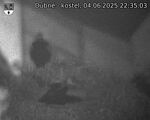 Capi_Dubne_20250604_223503.jpg