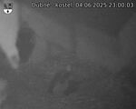 Capi_Dubne_20250604_230003.jpg