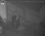 Capi_Dubne_20250604_233502.jpg