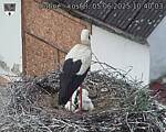 Capi_Dubne_20250605_104004.jpg