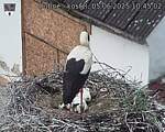 Capi_Dubne_20250605_104502.jpg