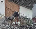 Capi_Dubne_20250605_105503.jpg