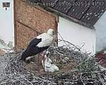 Capi_Dubne_20250605_144107.jpg
