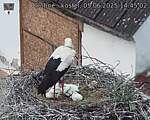 Capi_Dubne_20250605_144502.jpg