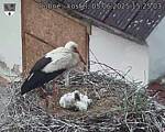 Capi_Dubne_20250605_152503.jpg