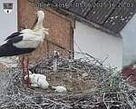 Capi_Dubne_20250605_162004.jpg