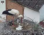 Capi_Dubne_20250605_163503.jpg