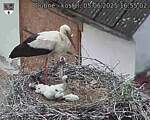 Capi_Dubne_20250605_165502.jpg