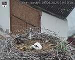 Capi_Dubne_20250605_191004.jpg