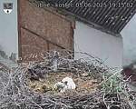 Capi_Dubne_20250605_191502.jpg