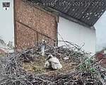 Capi_Dubne_20250605_192002.jpg