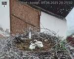 Capi_Dubne_20250605_202502.jpg
