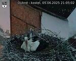Capi_Dubne_20250605_210502.jpg