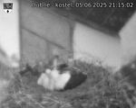 Capi_Dubne_20250605_211502.jpg