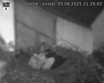 Capi_Dubne_20250605_212002.jpg
