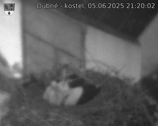 Capi_Dubne_20250605_212002.jpg (1350 x 1080)